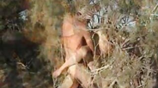ಕ್ಲಾಸಿ ಜಪಾನೀಸ್ ಗುದ್ದ ...
