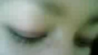 ಮೀಸೆಯ ಸೊಗಸುಗಾರ ಕೋಮಲ  ...