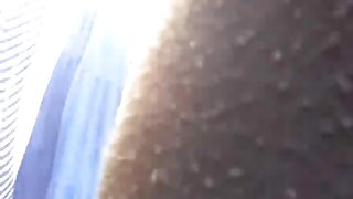 ಸಣ್ಣ ಕೂದಲಿನ ತೆಳು ಬಕ್ ...